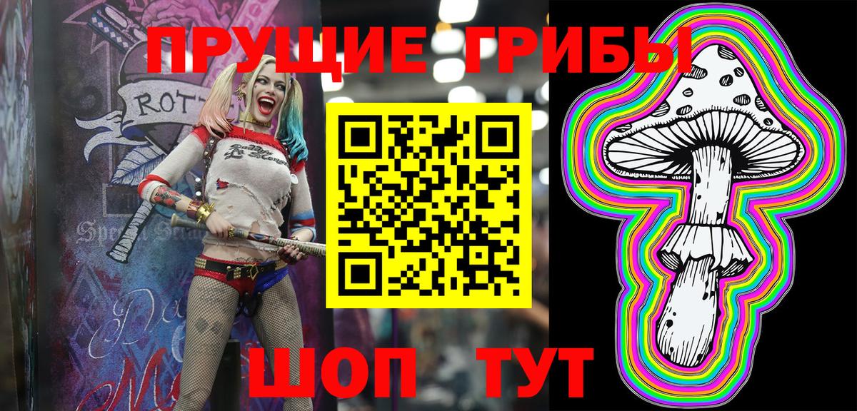 Галлюциногенные грибы Psilocybe  Вход с VPN  Тверь  Галлюциногенные грибы Psilocybine cubensis 