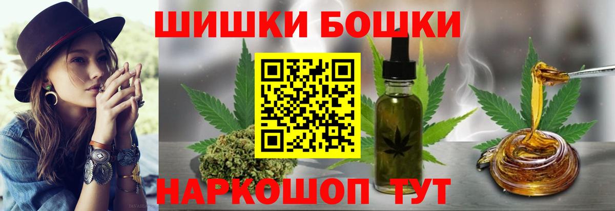 Каннабис индика Тверь